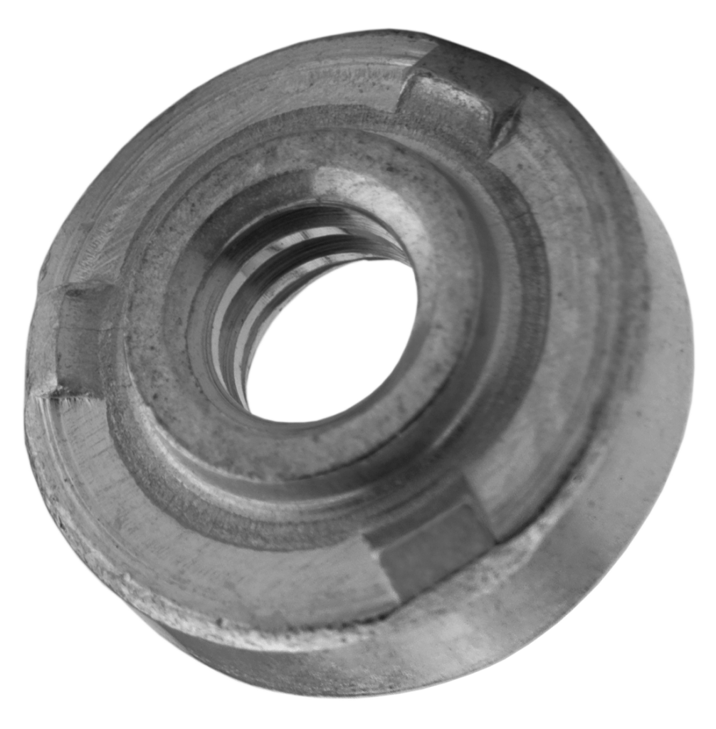 WN-Nuts-1006x1024